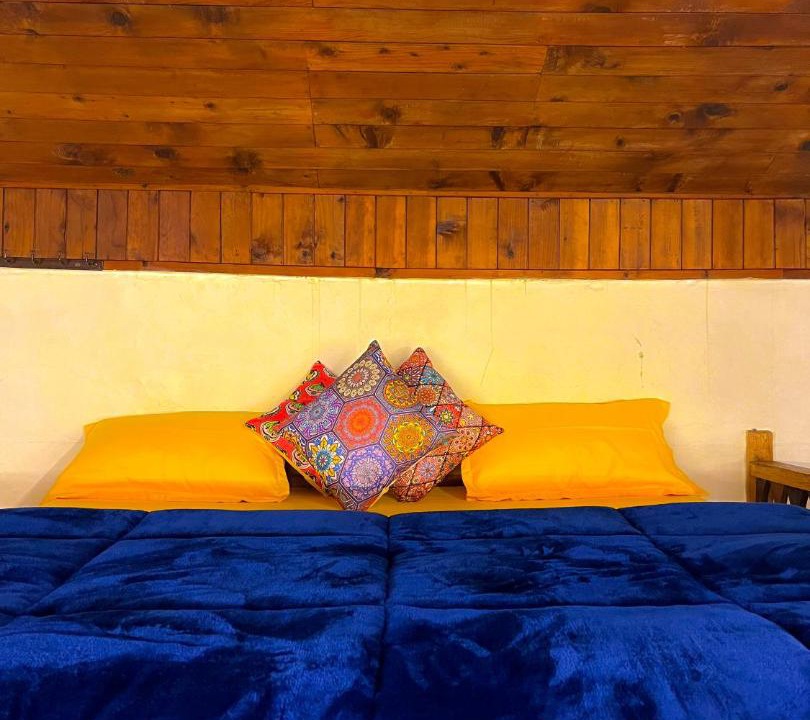 Photo of Others in Manali