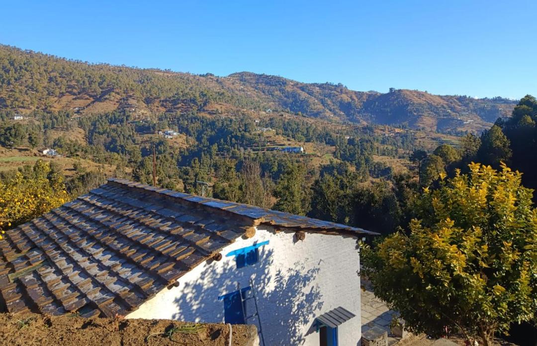 Photo of Others in Almora