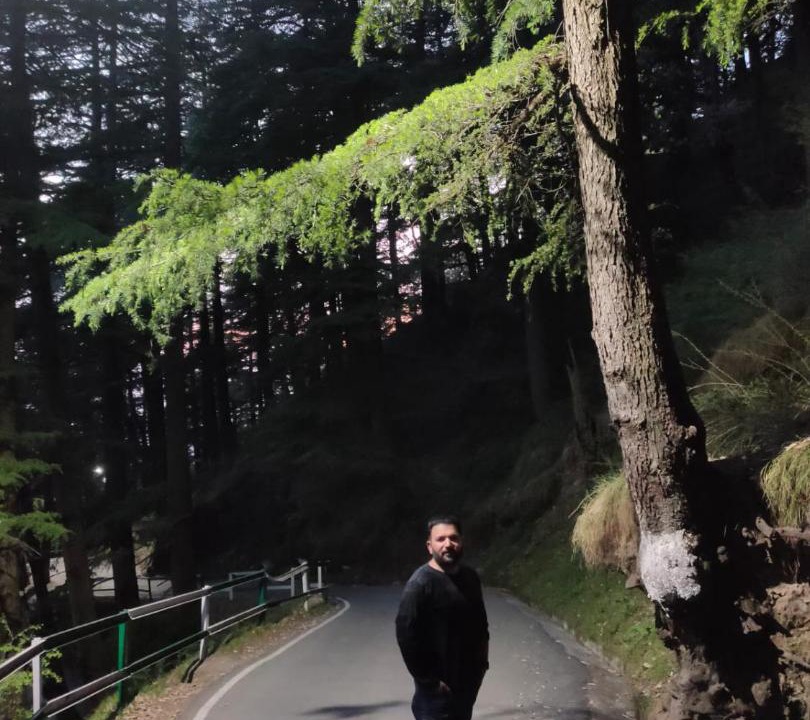 Photo of Others in New Shimla