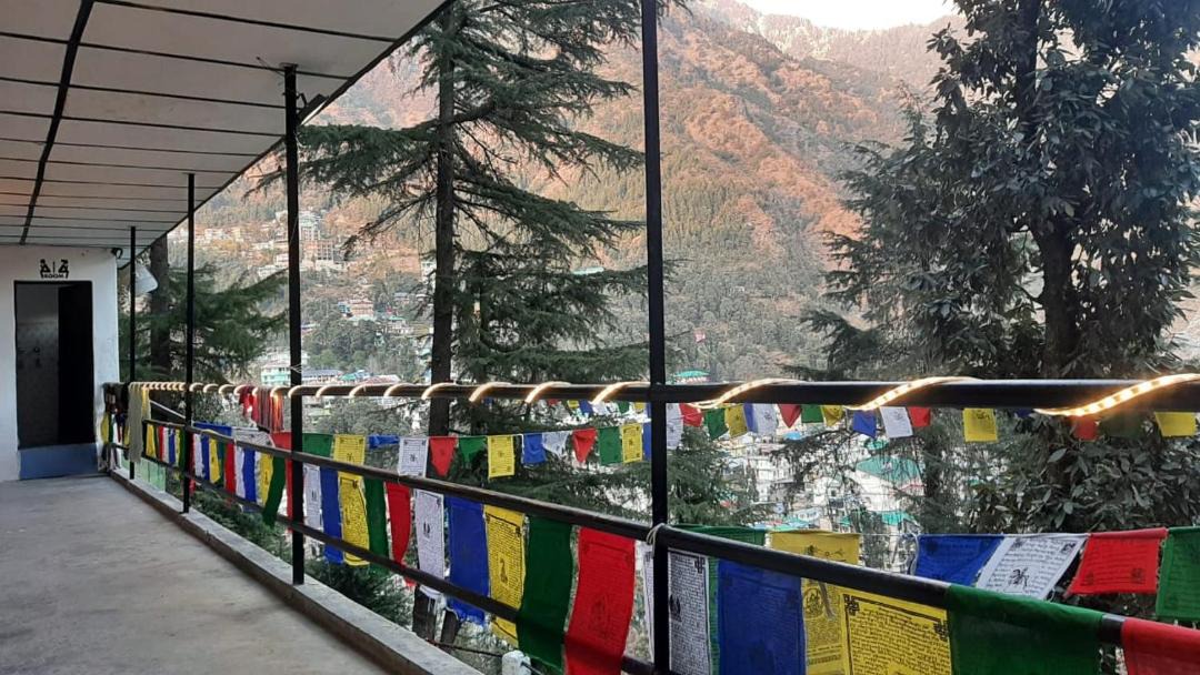 Photo of Others in Dharamshala