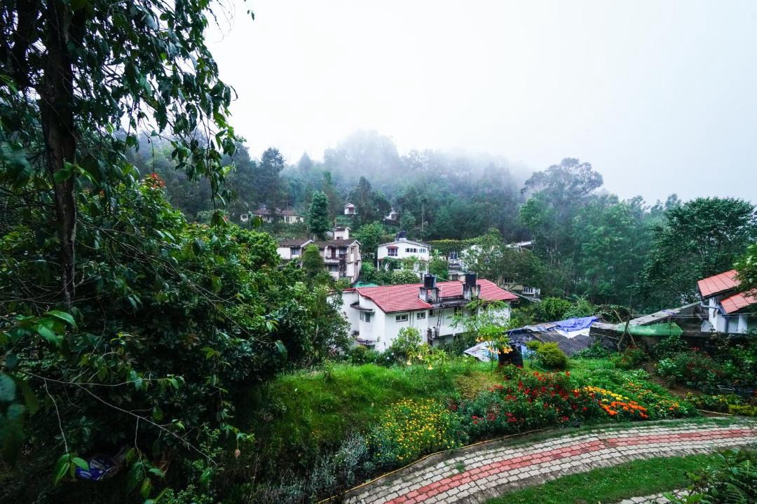 Photo of Others in Kodaikanal