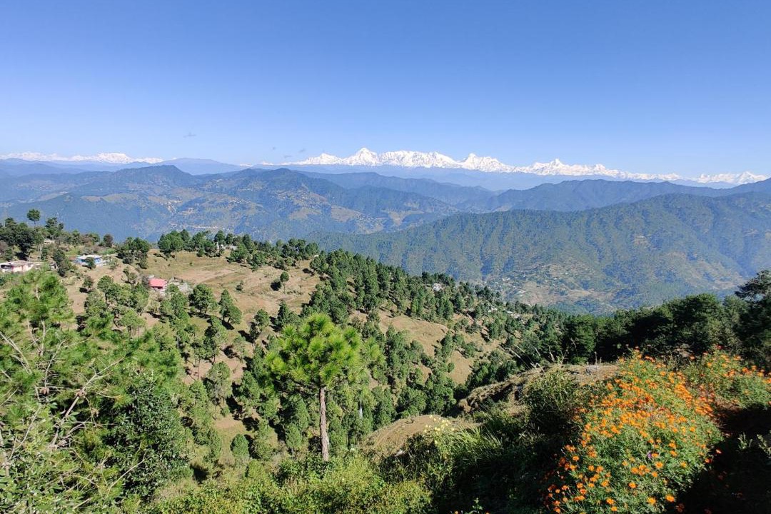 Photo of Others in Almora