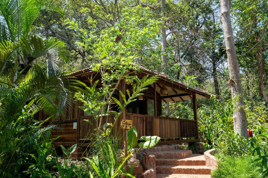 Photo of Others in Assagao