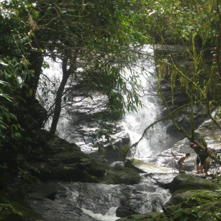 Photo of Others in Stuart Hill
