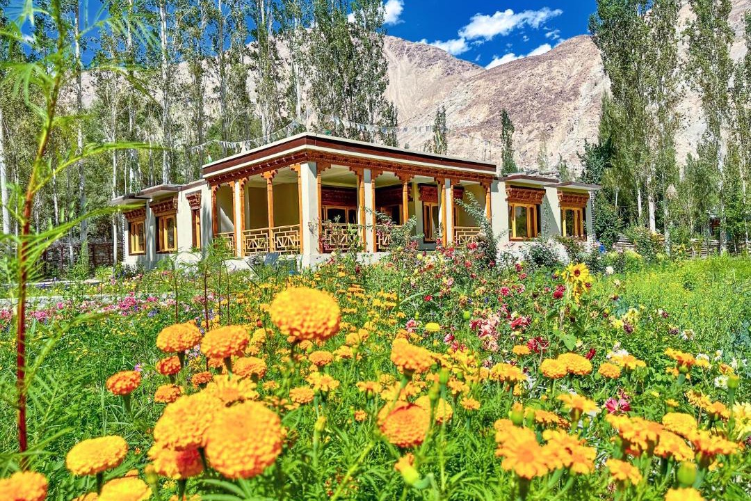 Photo of Others in Nubra Valley