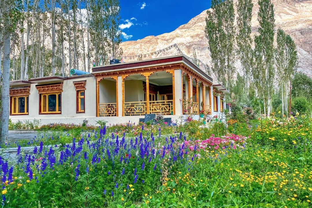 Photo of Others in Nubra Valley