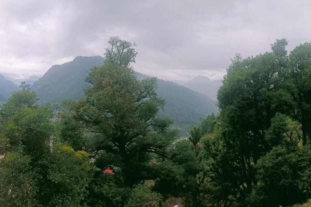 Photo of Others in Vashist
