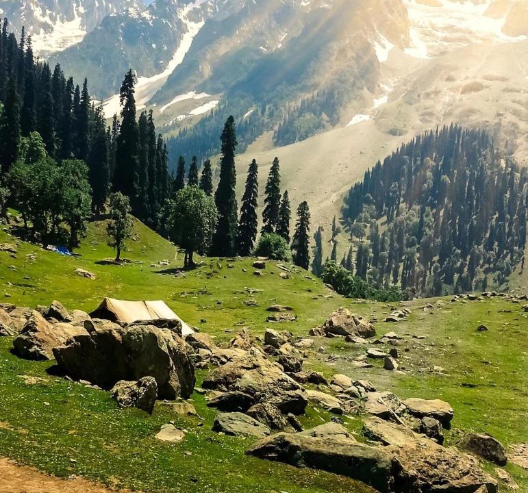 Photo of Others in Sonamarg