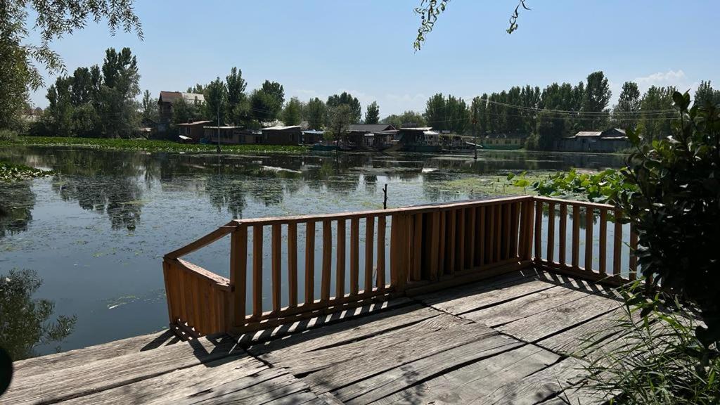 Photo of Others in Srinagar