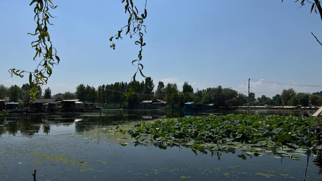 Photo of Others in Srinagar