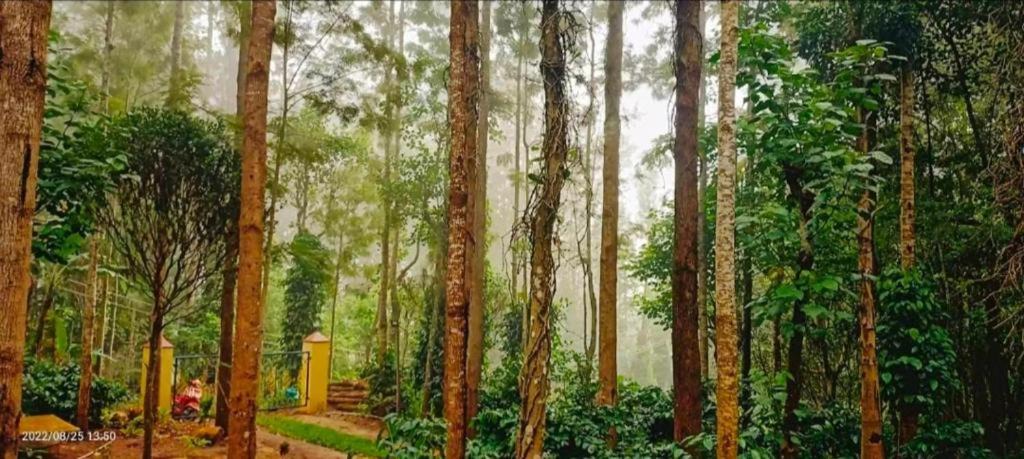 Photo of Others in Yercaud