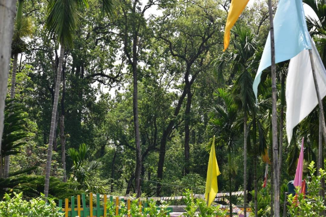 Photo of Others in Alipurduar