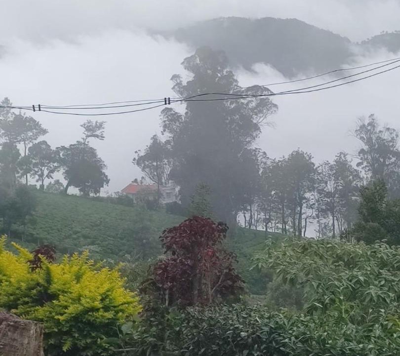 Photo of Others in Kotagiri