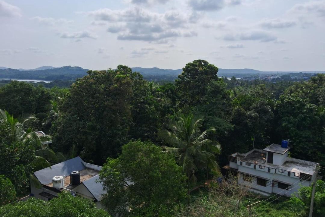 Photo of Others in Pattambi