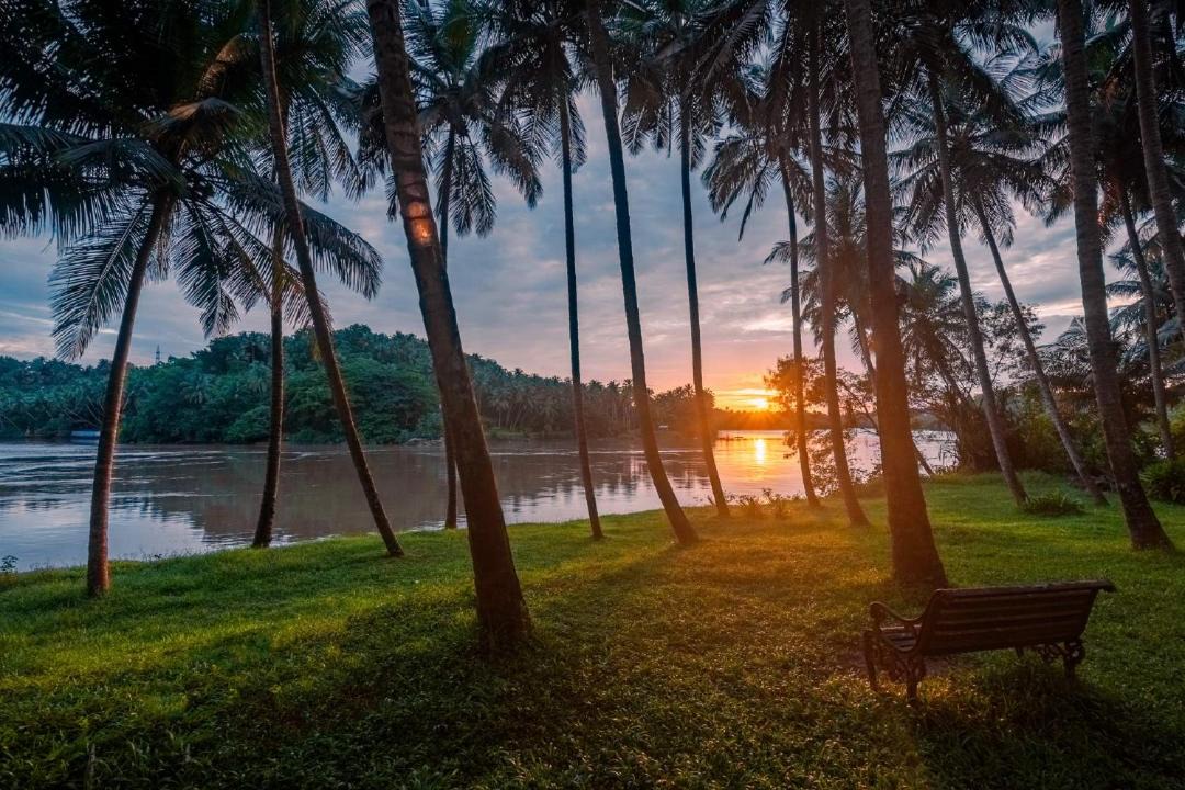 Photo of Others in Kozhikode