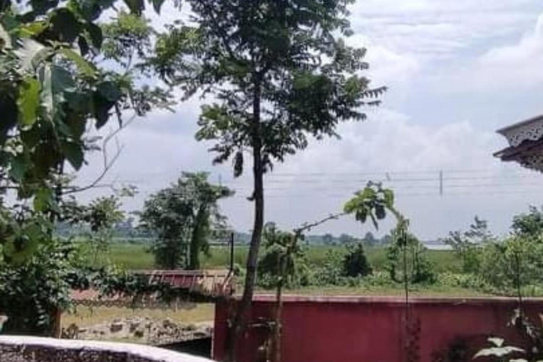 Photo of Others in Neora