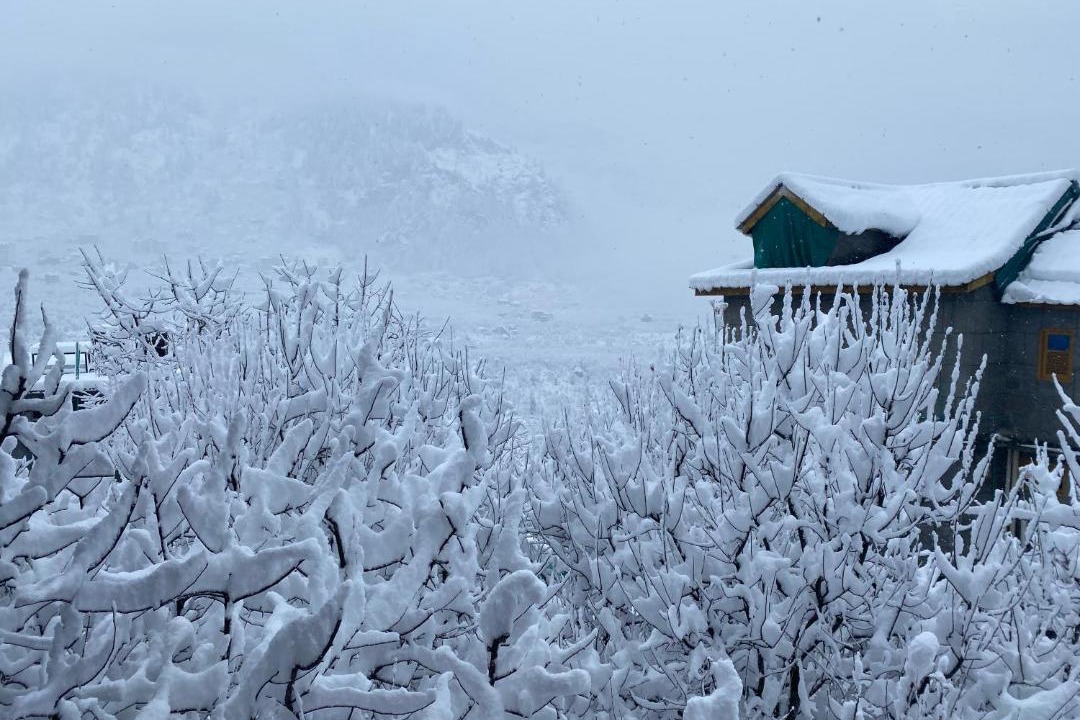 Photo of Others in Manali