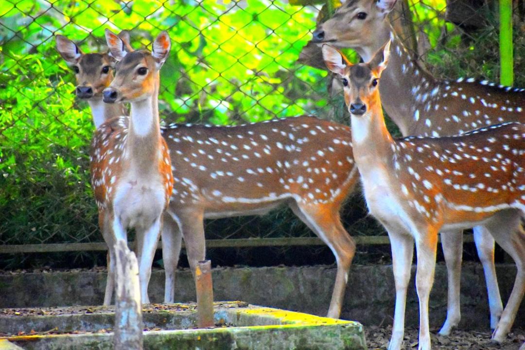 Photo of Others in Tangail