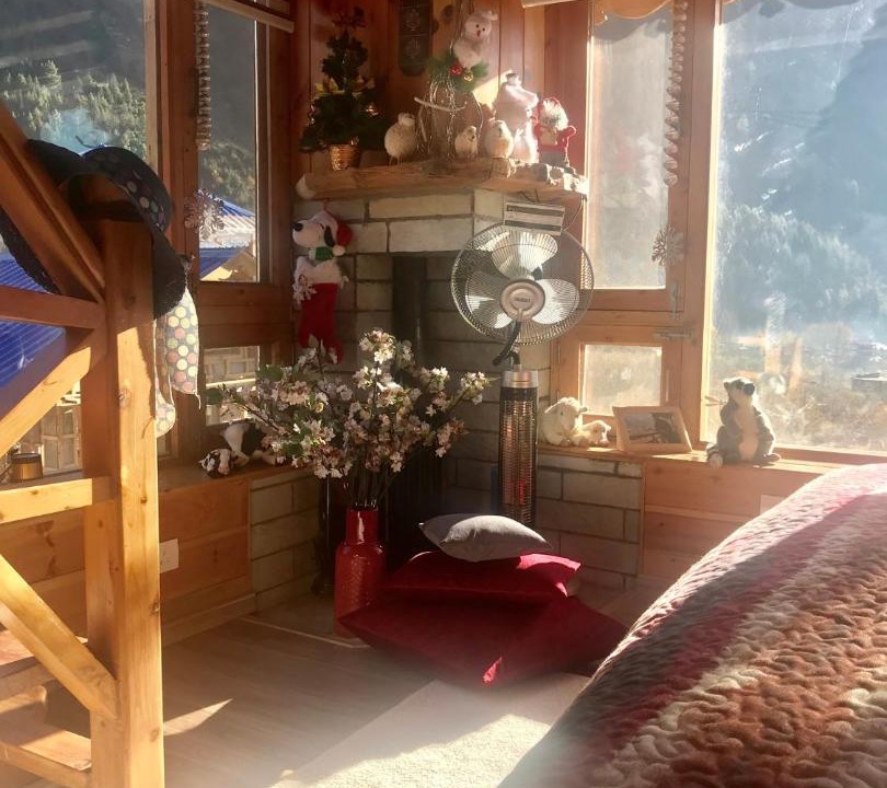 Photo of Others in Manali