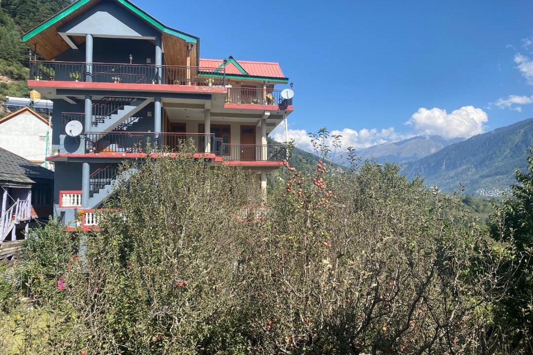 Photo of Others in Manali