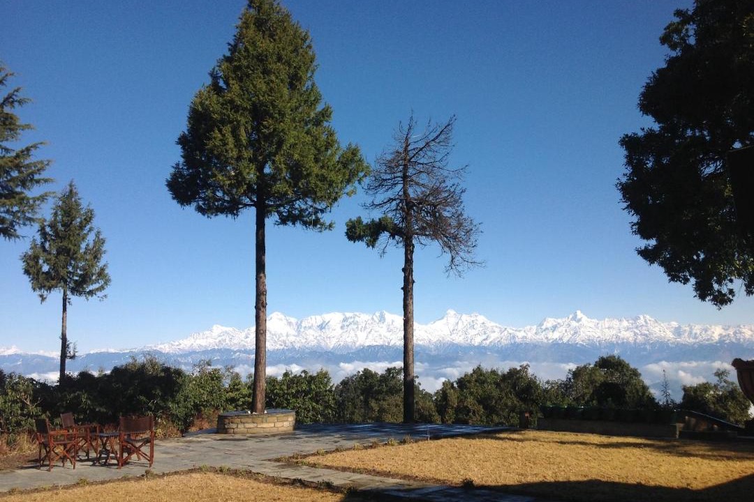 Photo of Others in Binsar