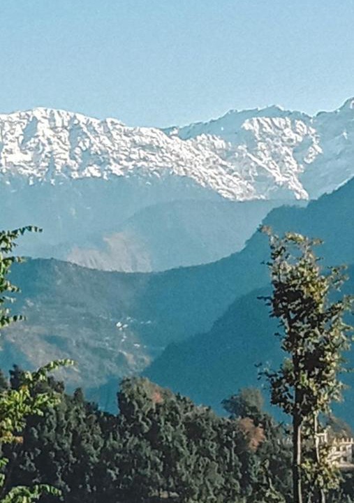 Photo of Others in Ukhimath