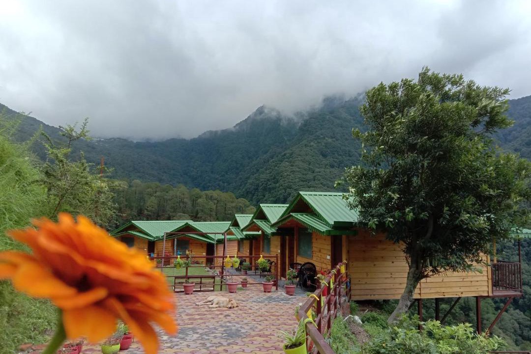 Photo of Others in Naina Range
