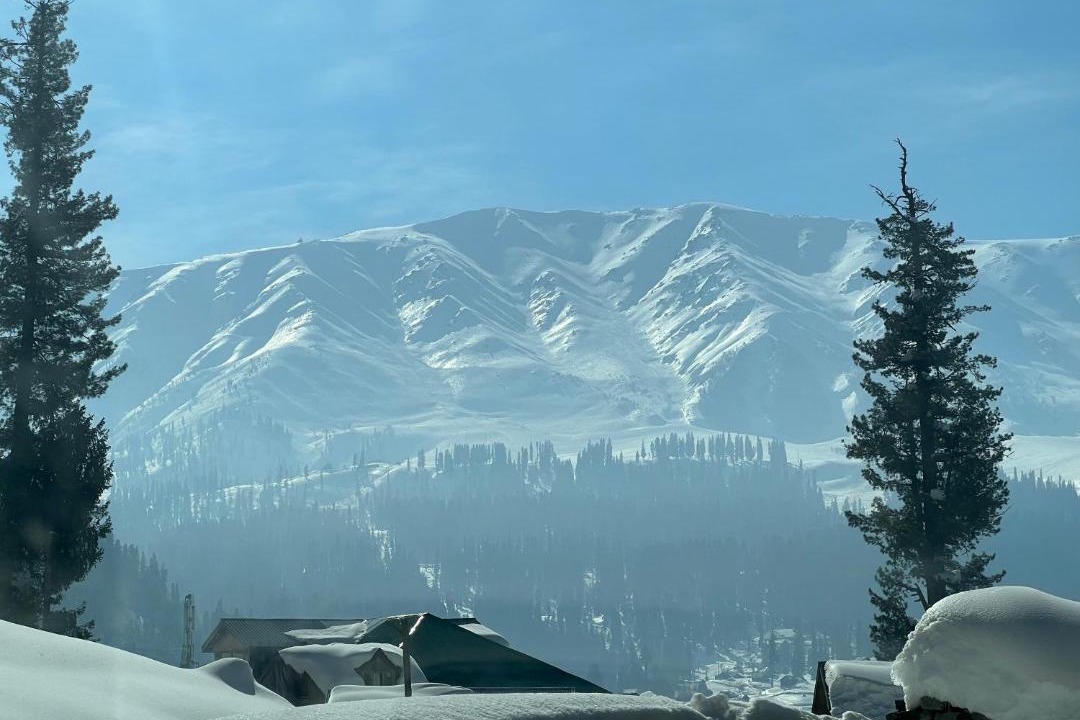 Photo of Others in Srinagar