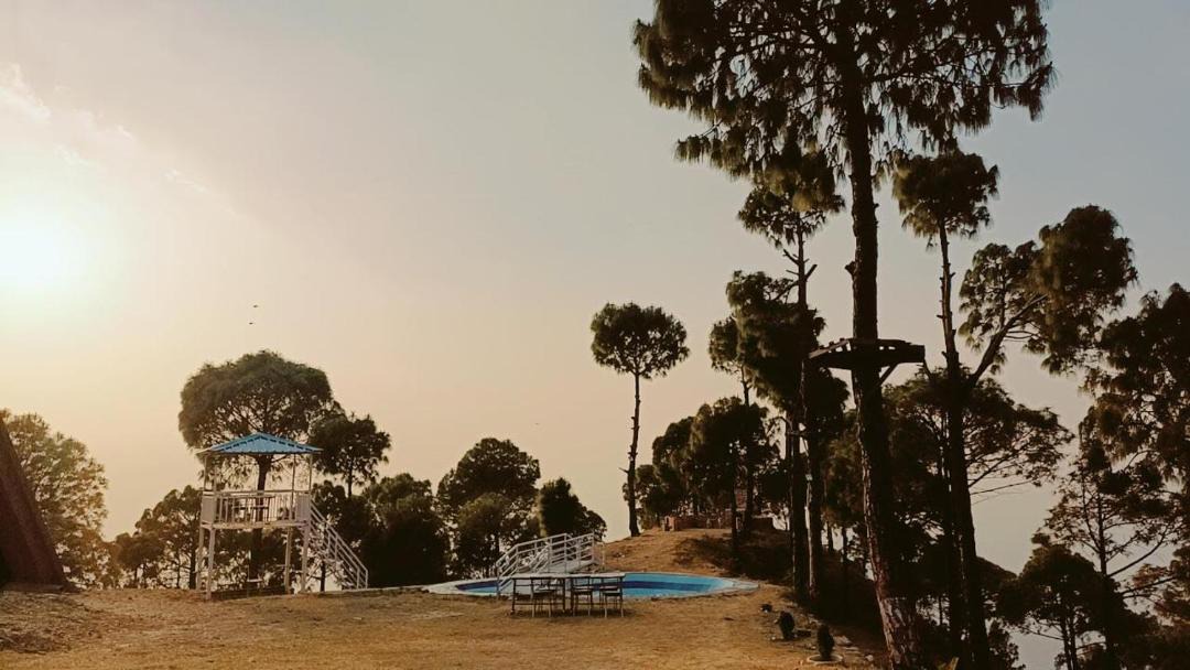 Photo of Others in Kasauli