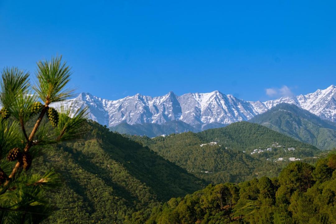 Photo of Others in Dharamshala