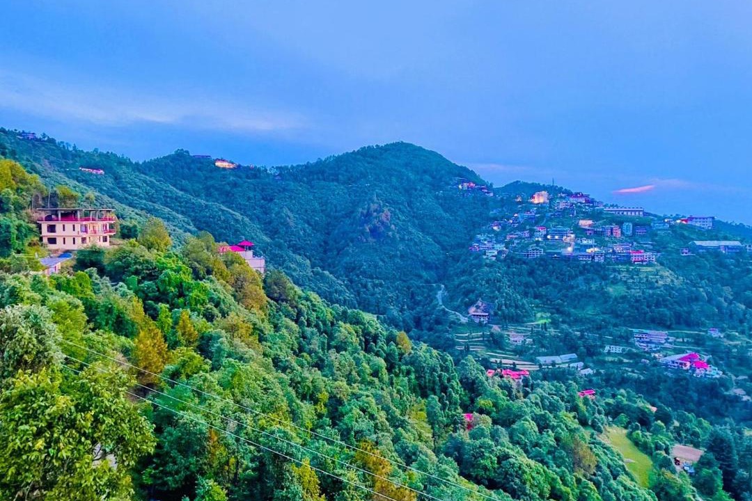 Photo of Others in Shoghi