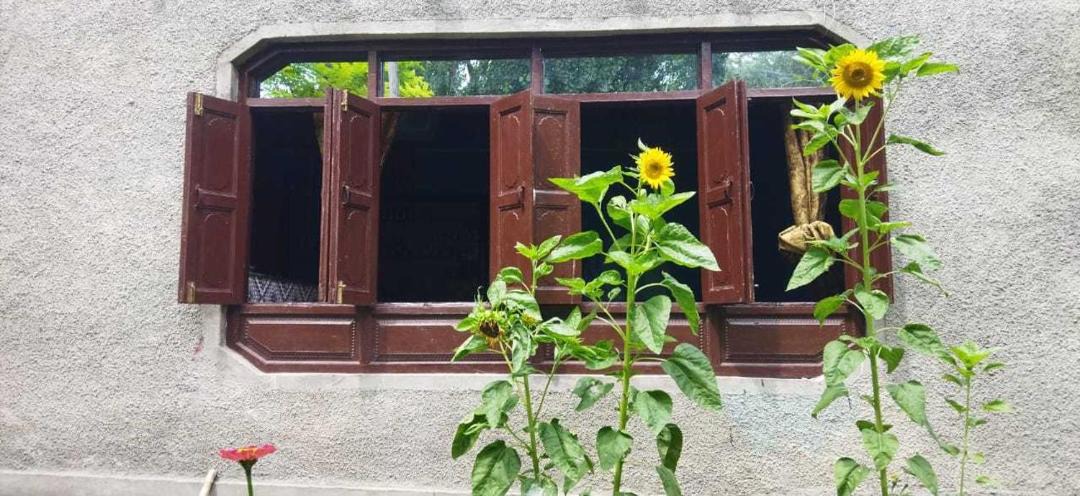 Photo of Others in Gulmarg