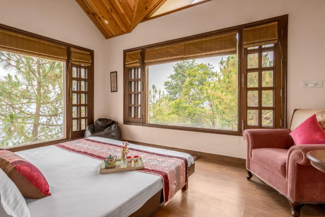 Photo of Others in Kasauli