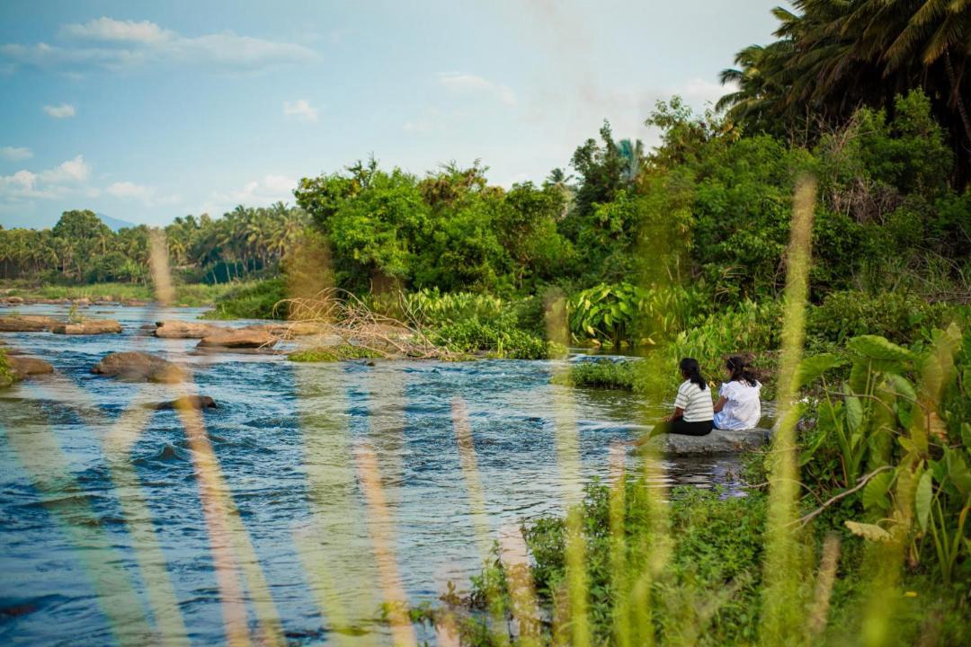 Photo of Others in Udumalaipettai