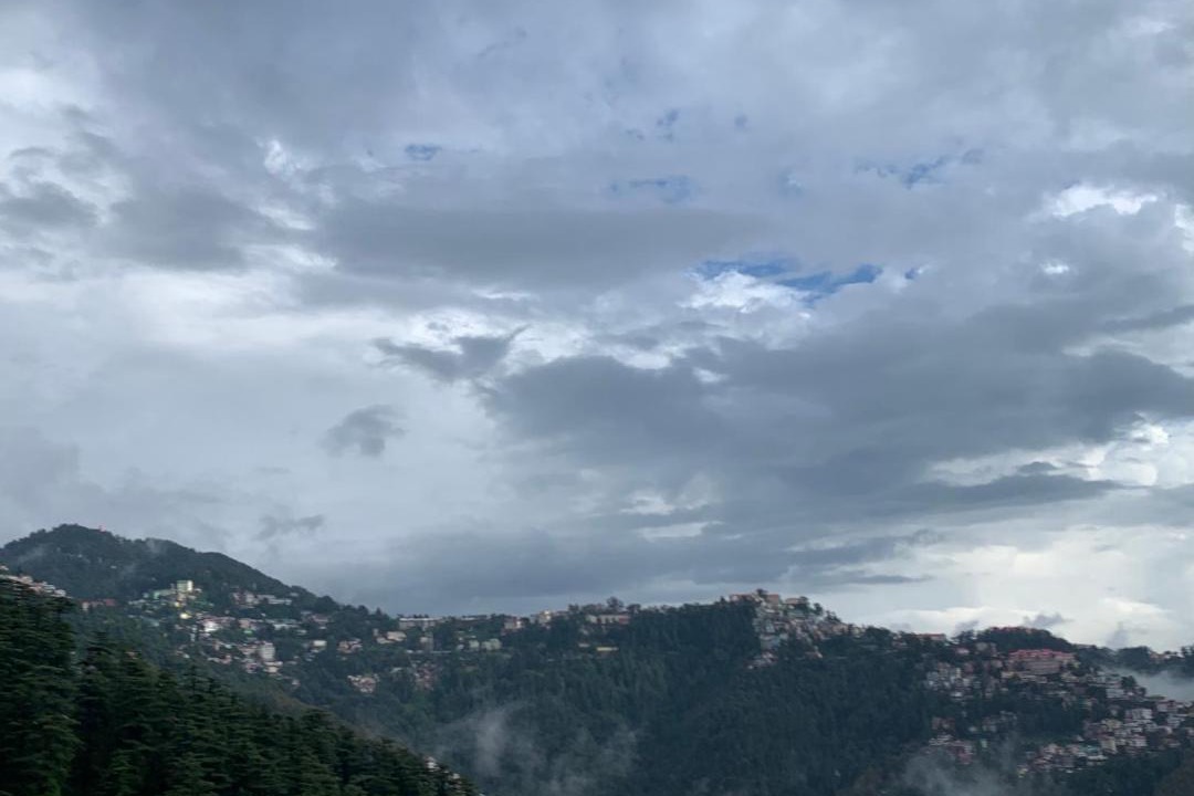 Photo of Others in Shimla