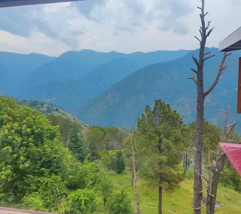 Photo of Others in Shimla