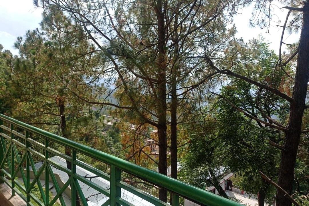 Photo of Others in Almora