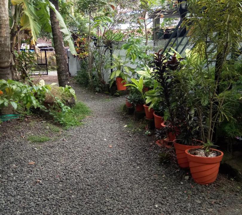 Photo of Others in Fort Kochi