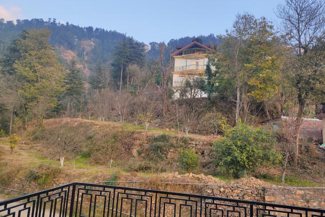 Photo of Others in Shimla