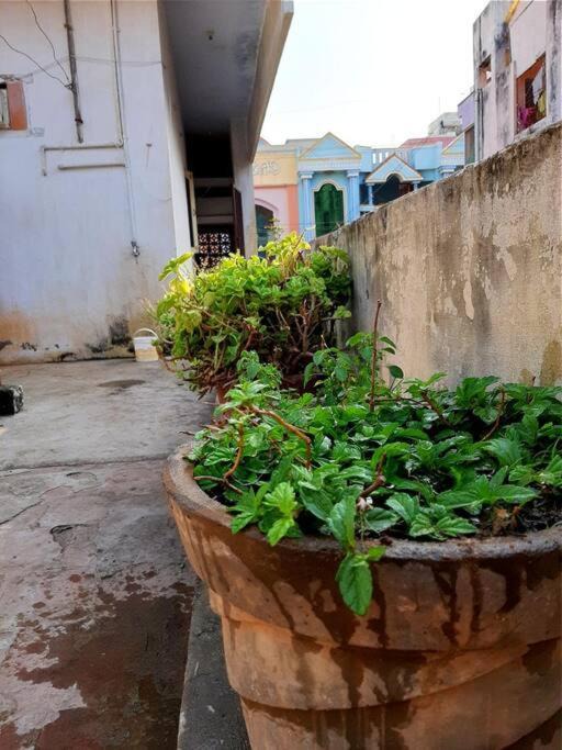 Photo of Buildings in Tiruvannamalai