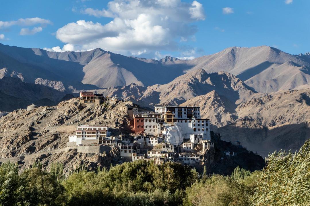 Photo of Others in Leh
