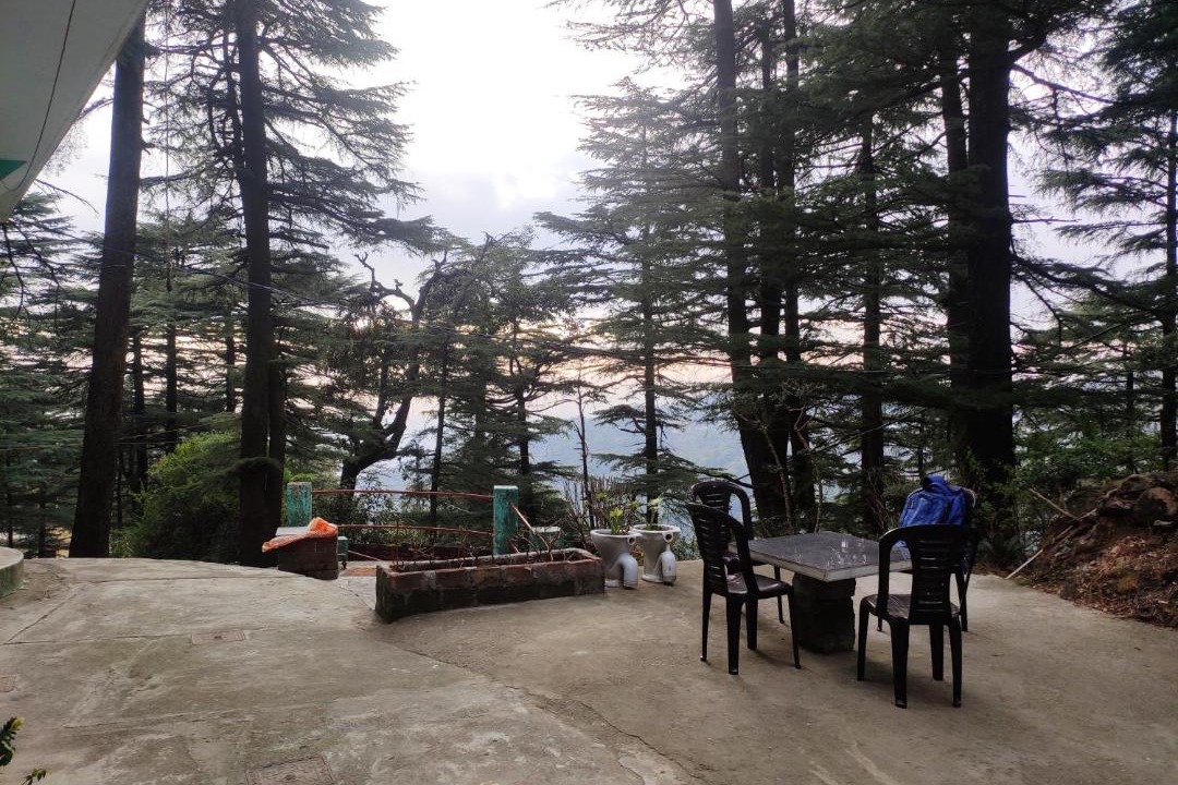 Photo of Others in McLeod Ganj