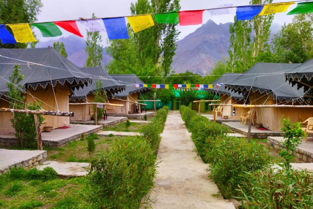 Photo of Others in Nubra Valley