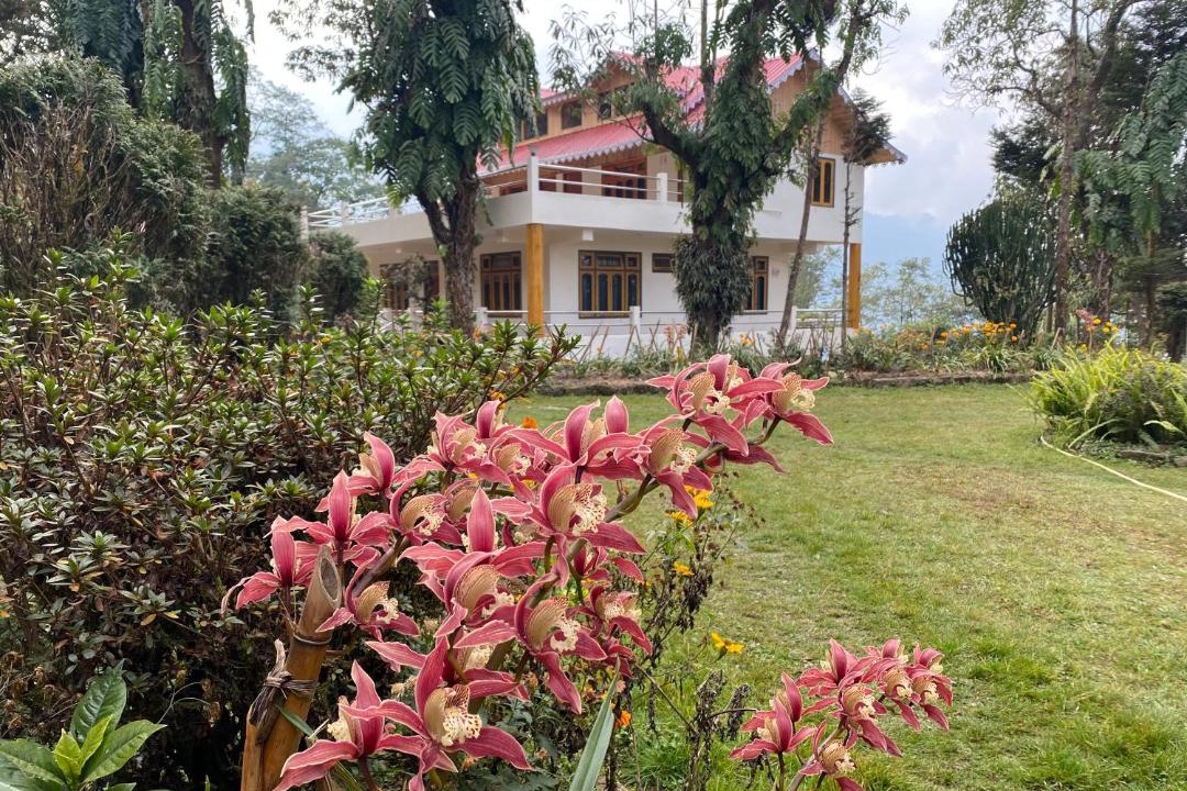 Photo of Others in Darjeeling