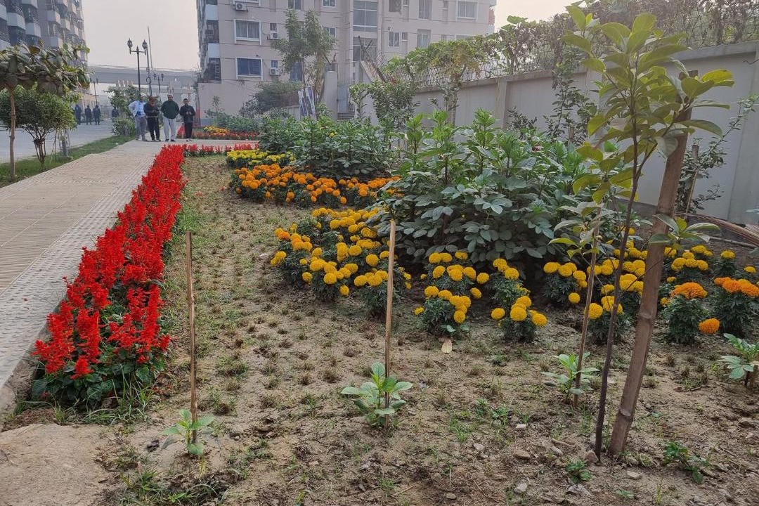 Photo of Others in Mirpur