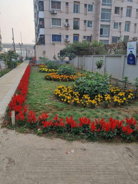Photo of Buildings in Mirpur