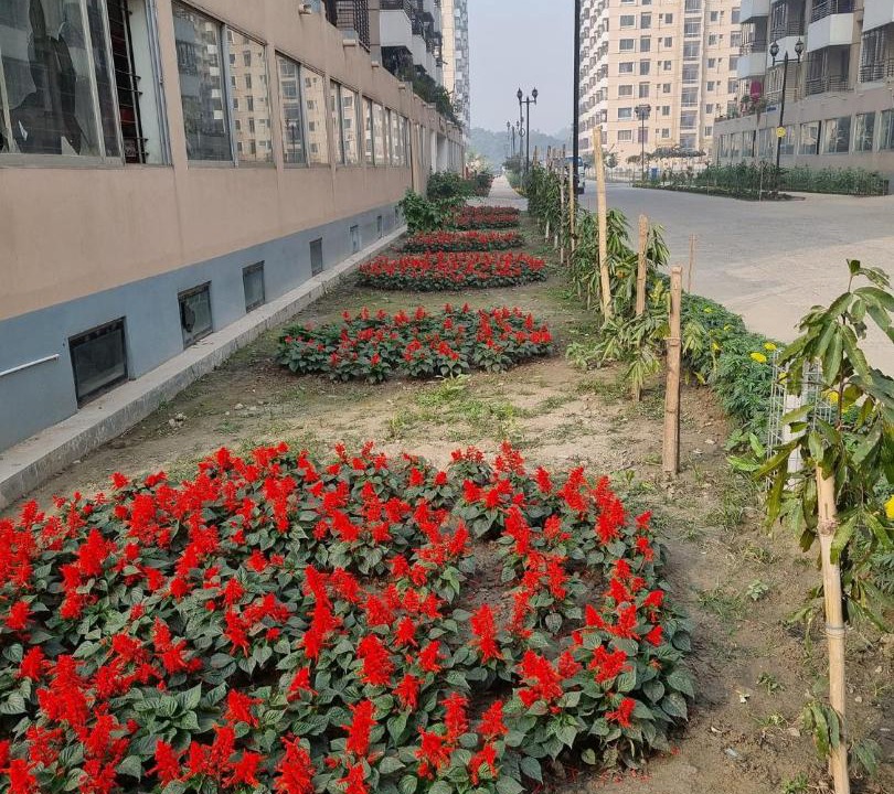 Photo of Buildings in Mirpur