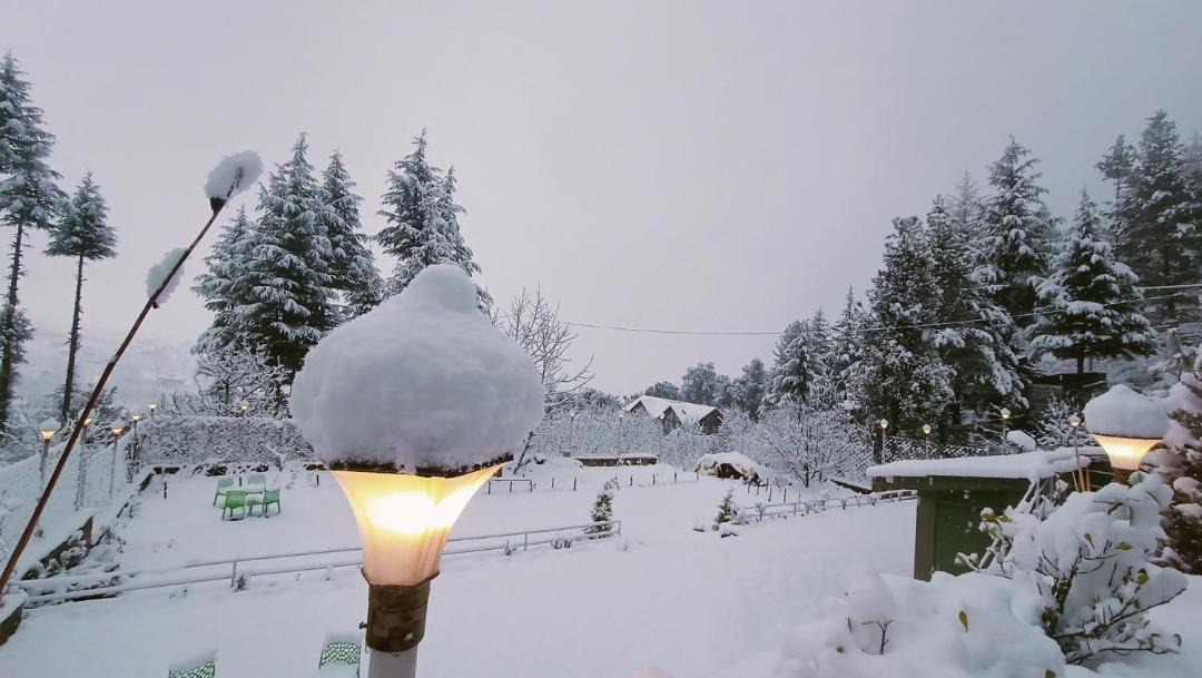Photo of Others in Manali