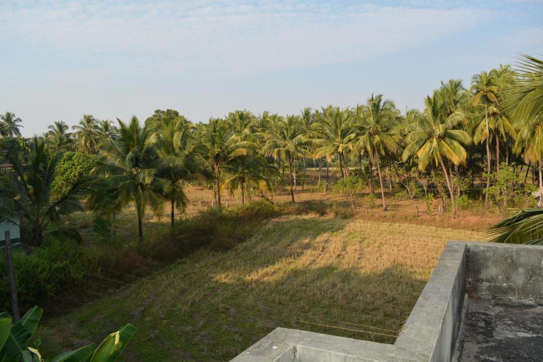 Photo of Others in Morjim