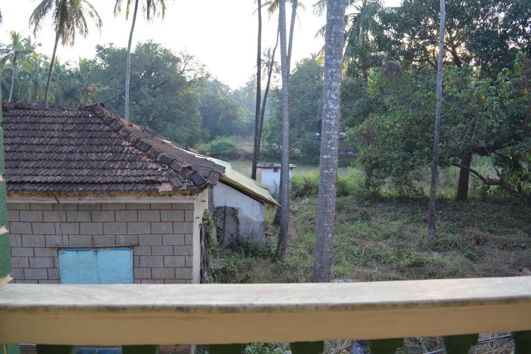 Photo of Others in Morjim